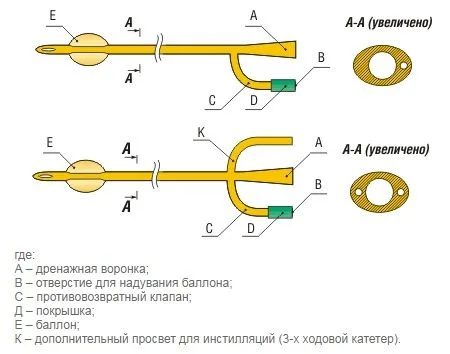 Строение катетера Фолея